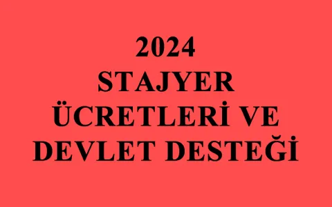 2024 Stajyer Öğrenci Maaşları ne Kadar Oldu?