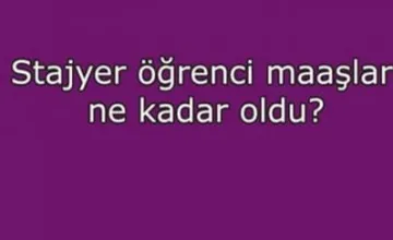 Stajyer Öğrenci Maaşları Ne Kadar Oldu?